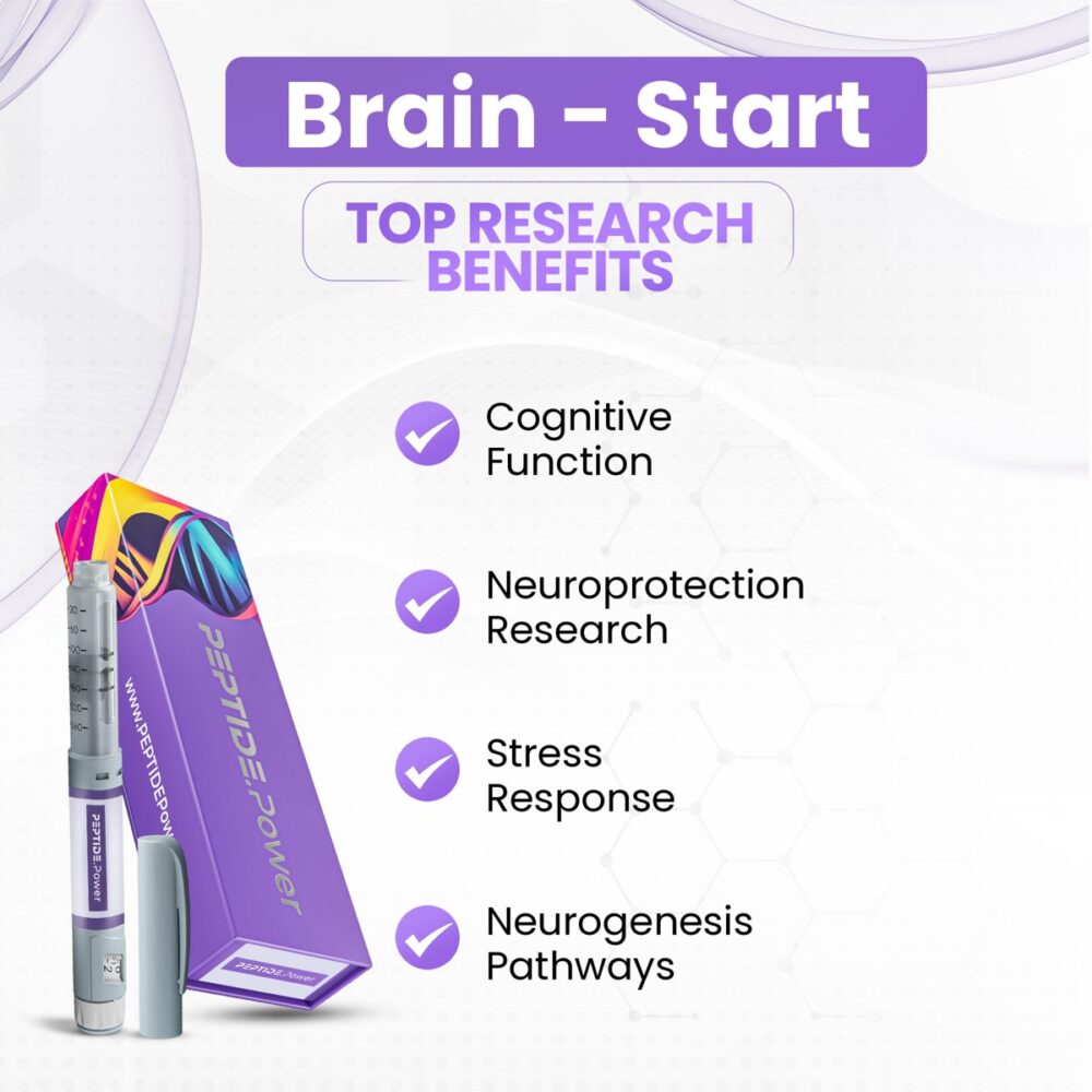 Brain - Start