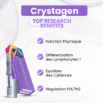 Crystagen Bienfaits: Fonction Thymique, Différenciation des Lymphocytes T, Équilibre des Cytokines, Régulation Th1/Th2