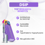 DSIP Bienfaits: Architecture du Sommeil, Excitabilité Neuronale, Axe Hypothalamo-Hypophysaire, Récupération SNC