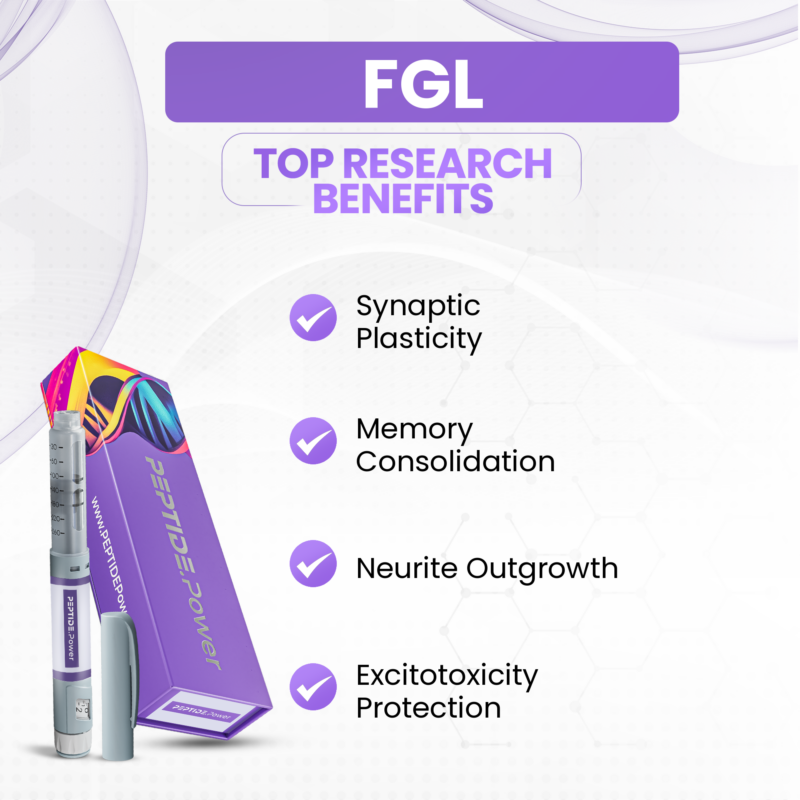 FGL Benefits: Synaptic Plasticity, Memory Consolidation, Neurite Outgrowth, Excitotoxicity Protection