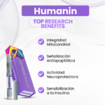 Humanin - Integridad Mitocondrial, Señalización Antiapoptótica, Actividad Neuroprotectora, Sensibilización a la Insulina