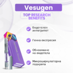 Vesugen - Ендотелен интегритет, Генна експресия, Обновяване на ендотела, Микроциркулаторна подкрепа